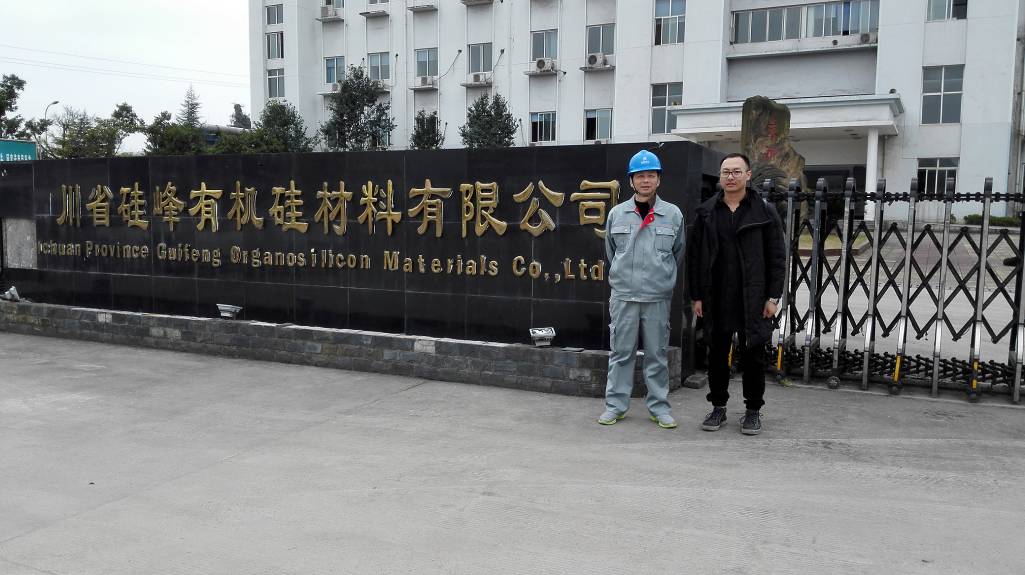 合盛硅业泸州有限公司有机硅装置改造项目